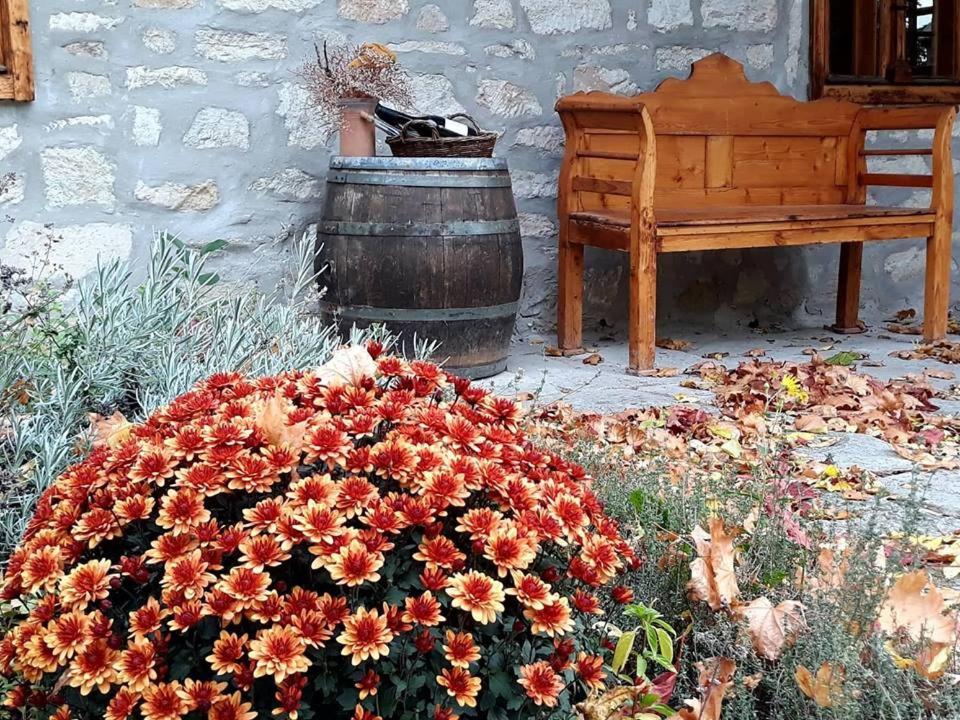 Karádi-Berger Vendégház Erdőbénye Exterior foto