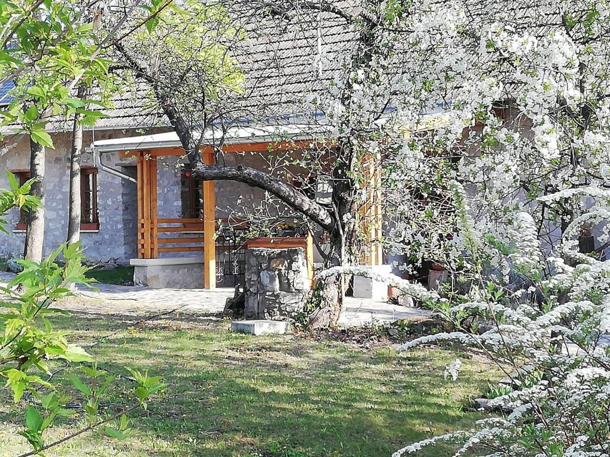 Karádi-Berger Vendégház Erdőbénye Exterior foto