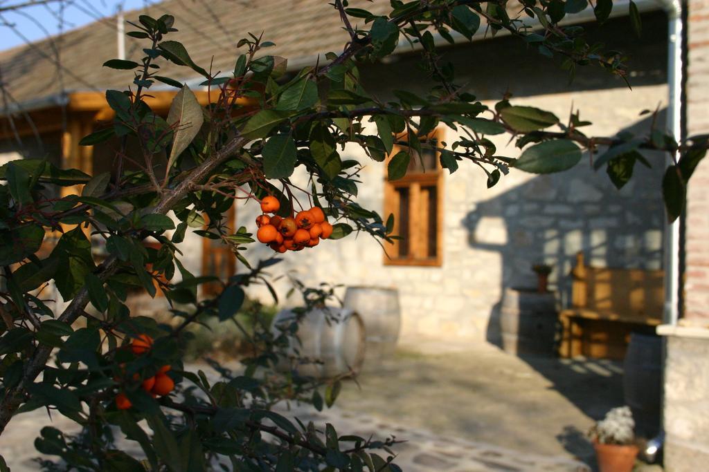 Karádi-Berger Vendégház Erdőbénye Habitación foto